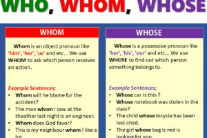 Phân biệt cách dùng Who, Whom và Whose trong tiếng anh